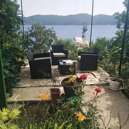 Iva * كوتشيشته